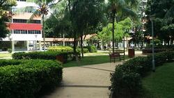 Blk 410 Pandan Gardens (Jurong East), HDB 3 Rooms #134415402